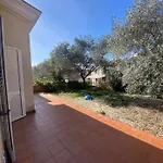 Portu Hill * Àrbatax