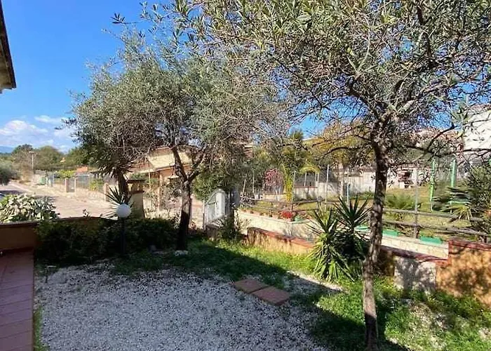 Portu Hill * Àrbatax